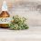 Cannabidiol (CBD): What we don’t know about it!