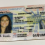 Proper Things To Know About Scannable Fake ID