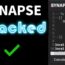 How To Download And Install Synapse X?